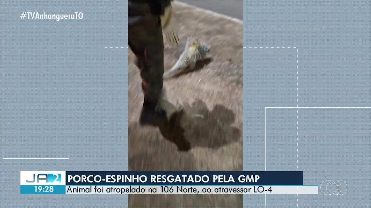 VÍDEOS: Jornal Anhanguera 2ª Edição-TO de quinta-feira, 03 de setembro de 2026…