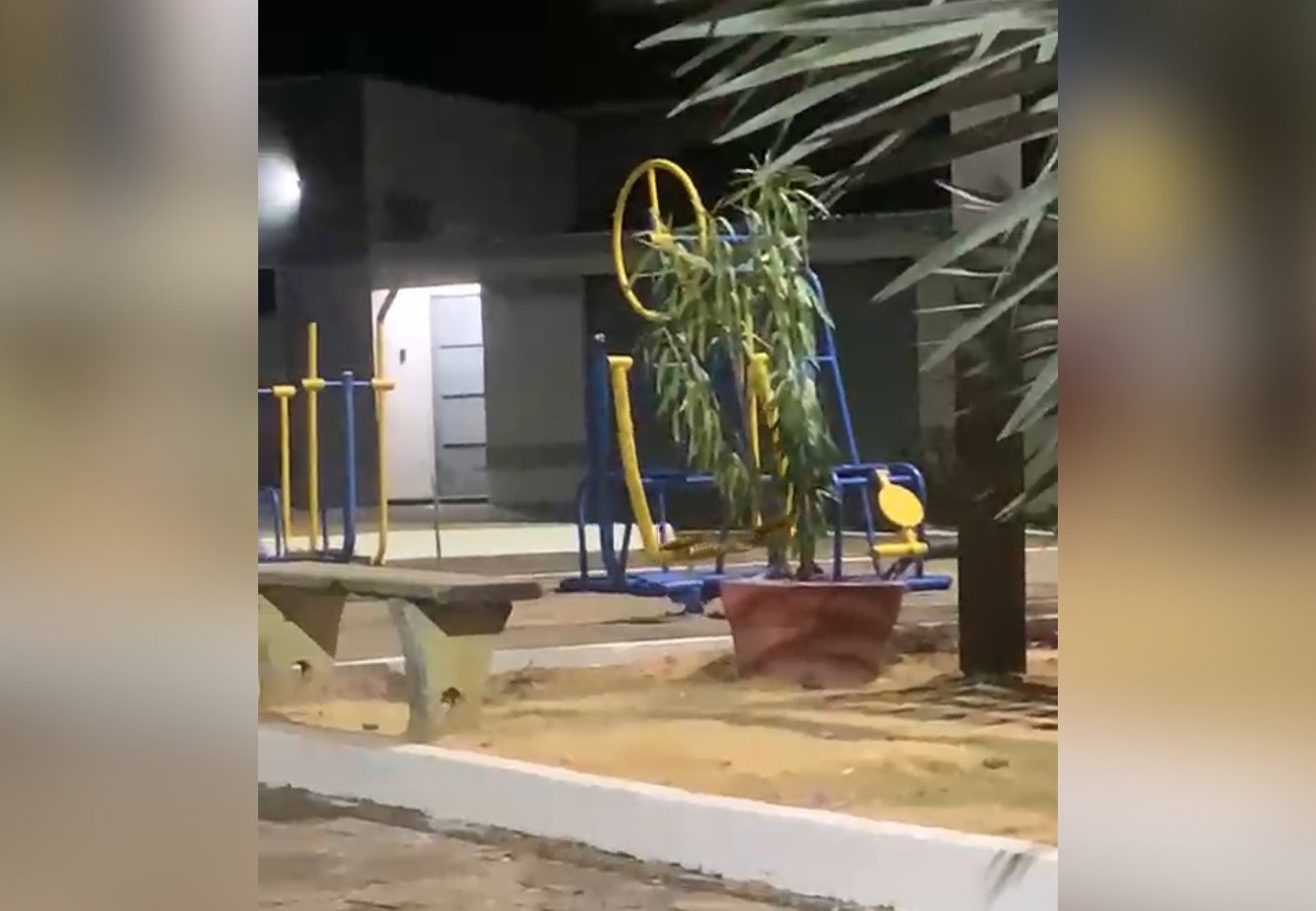 equipamento-de-academia-se-move-sozinho-em-praca-do-to-e-intriga-internautas;-video