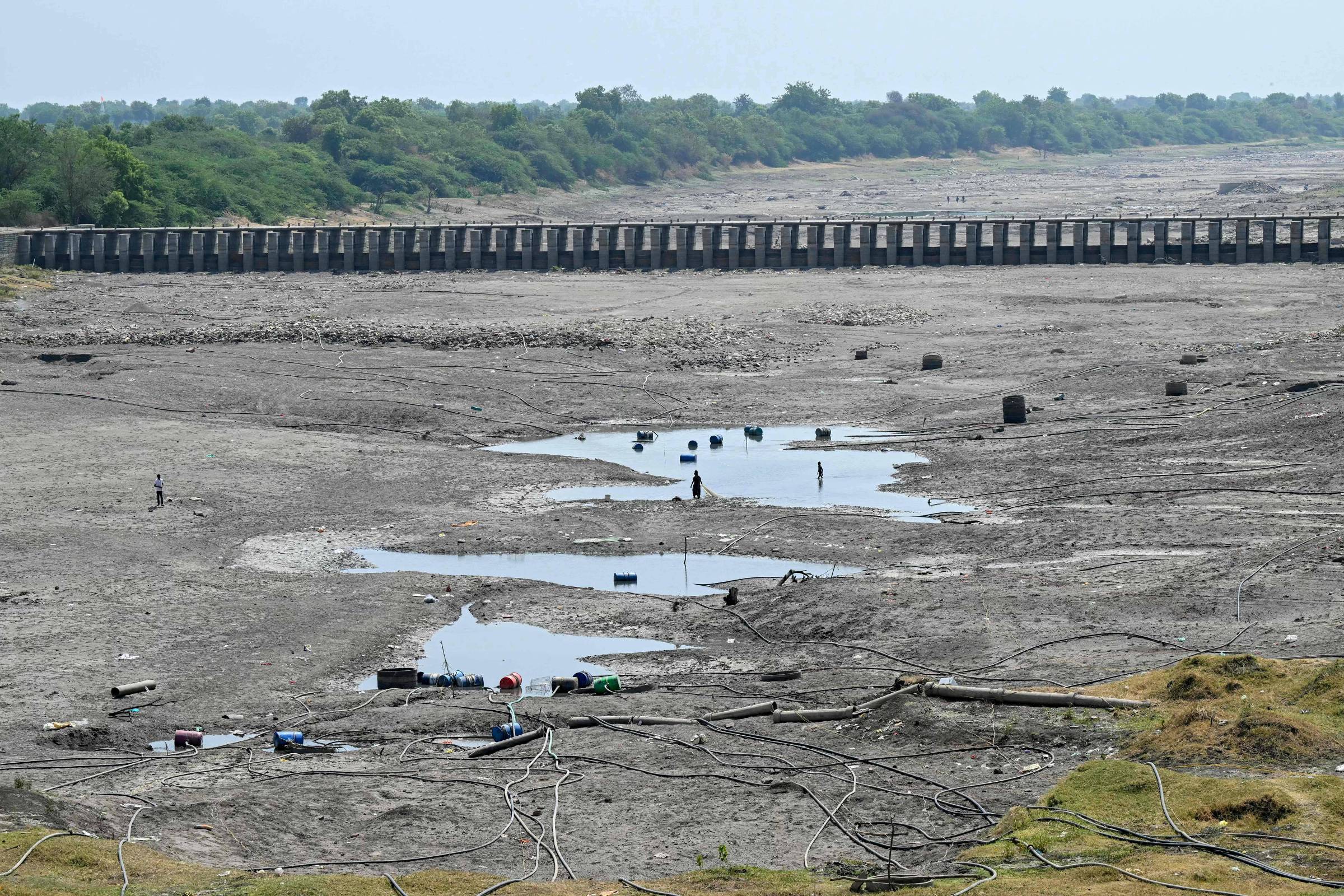 seca-atinge-tres-quartos-do-estado-mais-rico-da-india-e-ameaca-agricultores