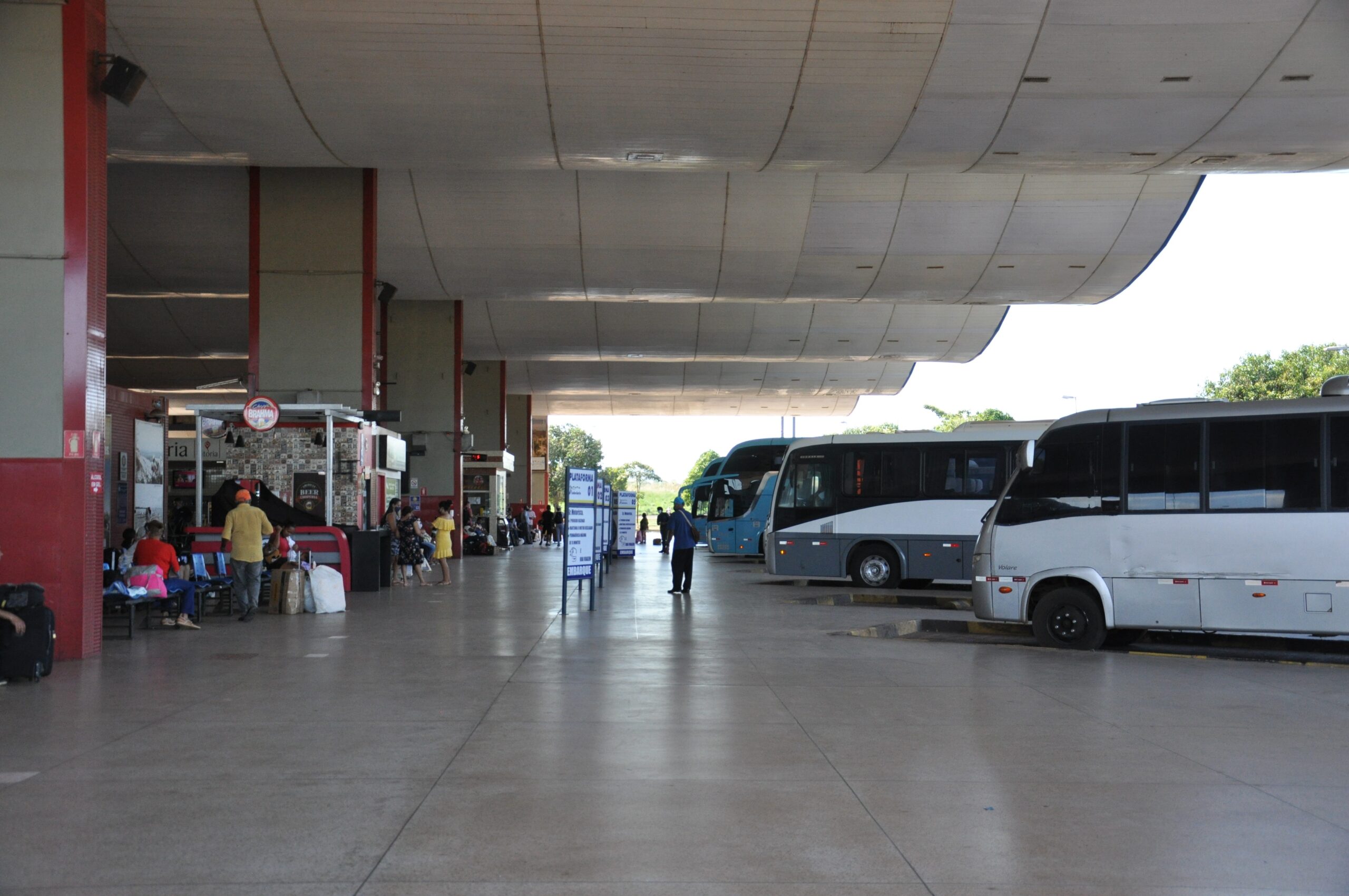 eleitores-terao-onibus-intermunicipais-gratuitos-no-tocantins-durante-as-eleicoes