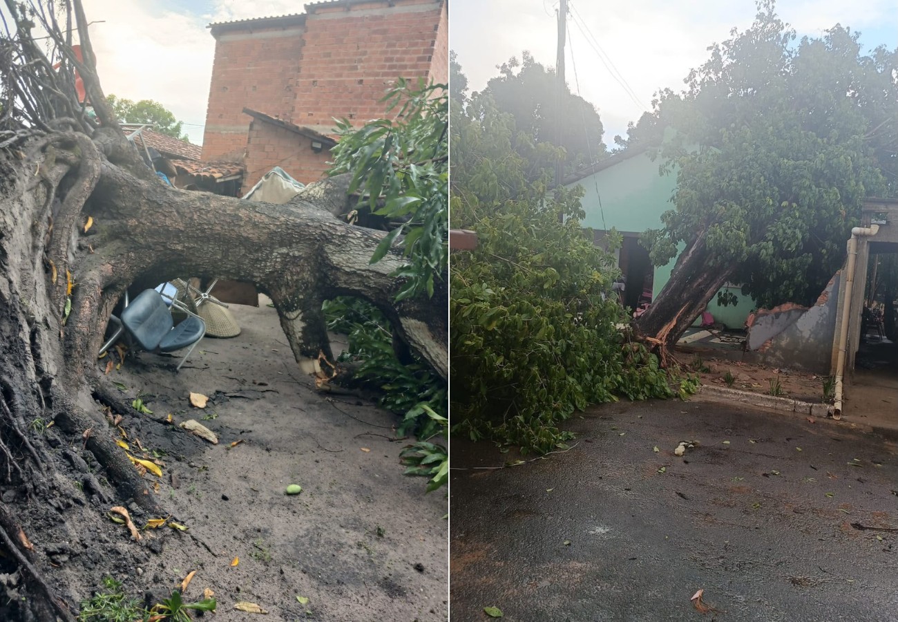 chuva-forte-derruba-arvores-e-provoca-estragos-no-interior-do-tocantins;-video