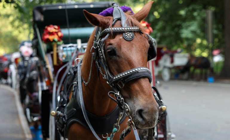 Nova York anuncia fim dos passeios de carruagens no Central Park