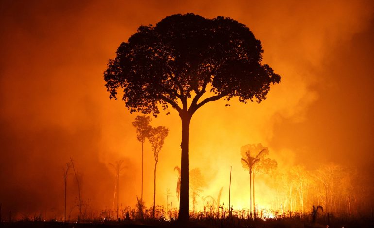 el-nino-alimenta-queimadas-na-indonesia-e-na-amazonia-e-onda-de-calor-em-mianmar