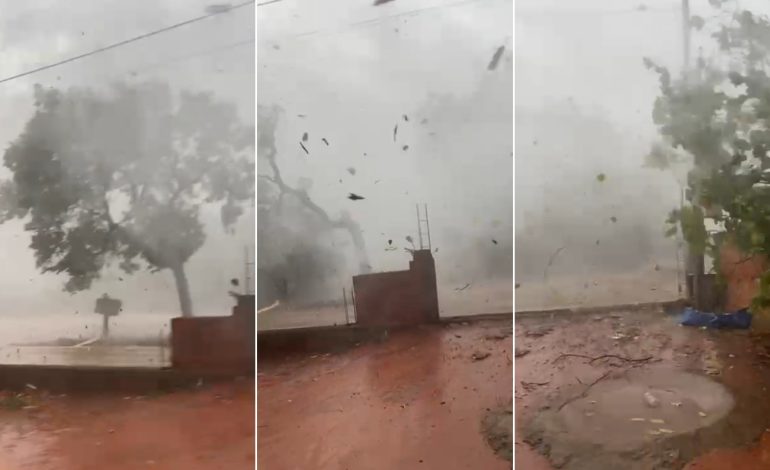Vídeo mostra ventania derrubando árvores; moradora se assusta: ‘Meu Deus do céu’