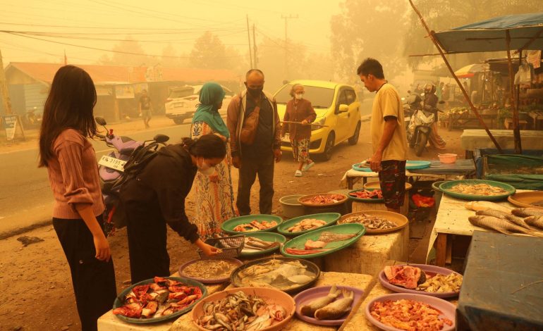 indonesios-de-ilha-devastada-por-incendios-processam-estado-por-poluicao-do-ar